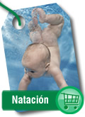 natacion, escuela de natacion, centro de natacion