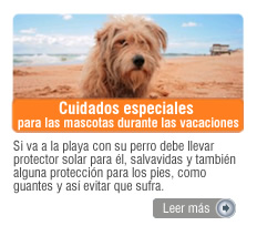 Cuidados especiales para las mascotas durante las vacaciones