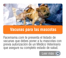 Vacunas para las mascotas