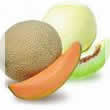 Melón 