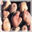Papas 