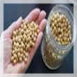 Soya