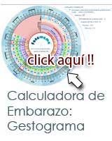 Calendario y Calculadora de embarazo: El Gestograma