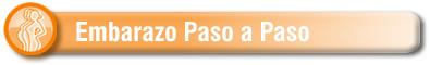 Embarazo paso a paso
