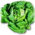 Mascarilla de lechuga
