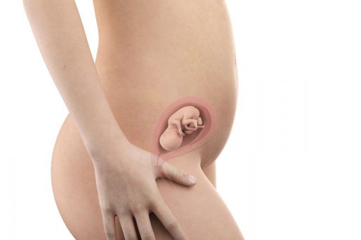 atención prenatal en el primer trimestre