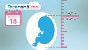 18 Semanas De Embarazo Consejos Para Los Cuidados De Mamá