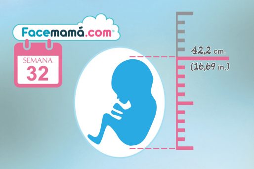 32 semanas de embarazo