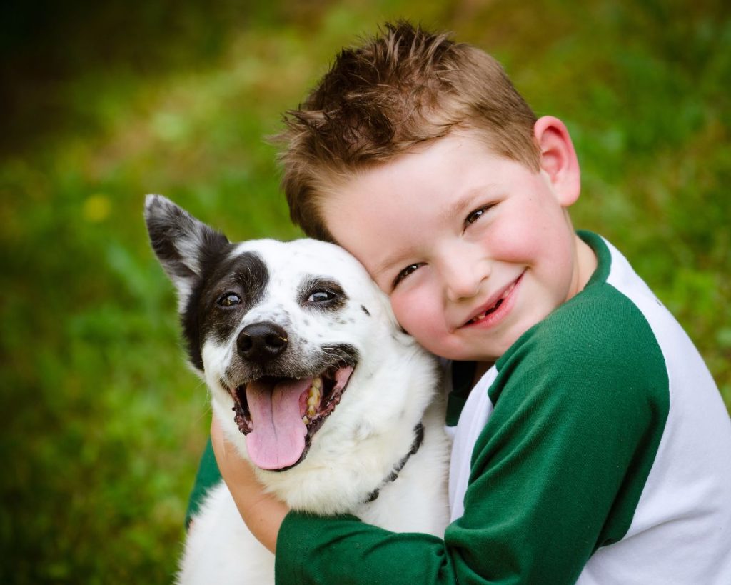 Cómo favorecen las mascotas a los niños
