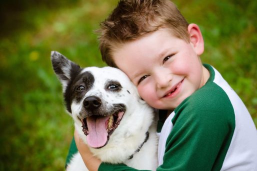 Cómo favorecen las mascotas a los niños