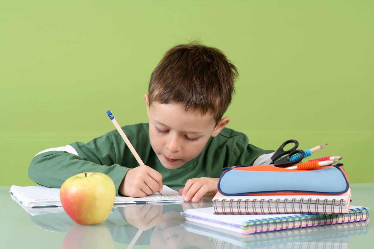 En Qu Momento Debe Hacer El Ni o La Tarea Escolar En Qu Momento Debe Hacer El Ni o La Tarea Escolar