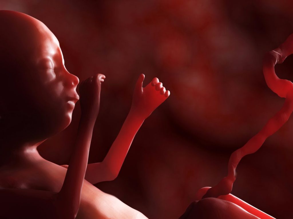 arritmia fetal en el embarazo
