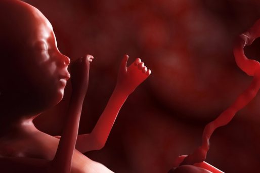 arritmia fetal en el embarazo