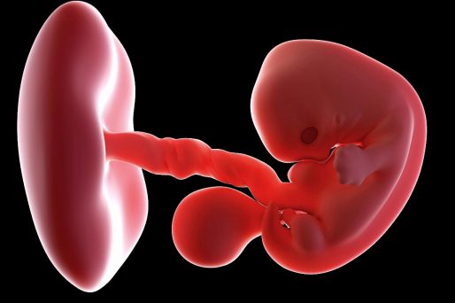 sufrimiento fetal en el embarazo