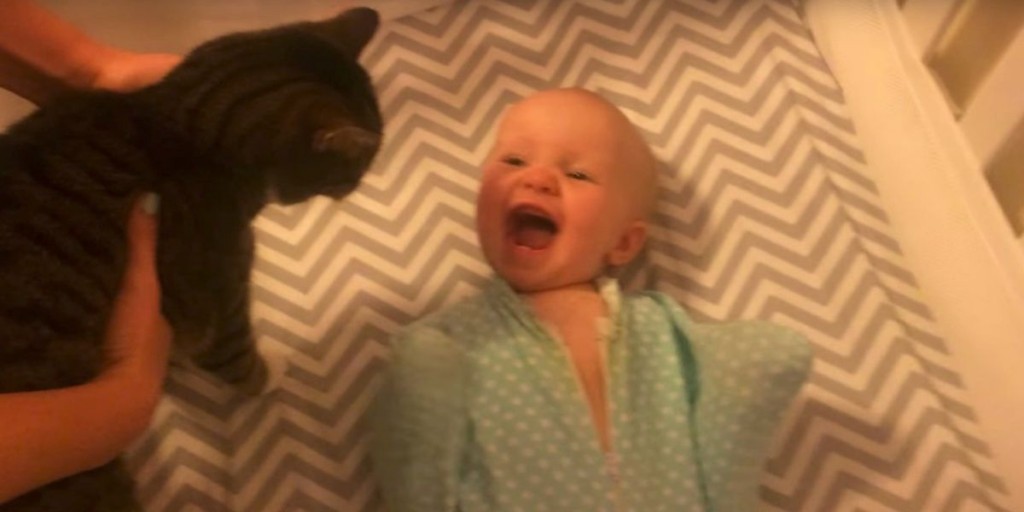 Bebé emocionado co su gato