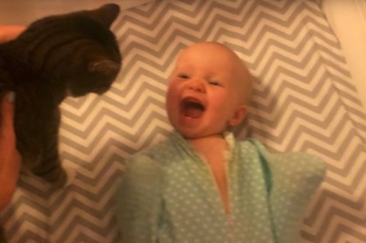 Bebé emocionado co su gato