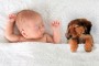 Enfermedades de las mascotas que afectan al bebé