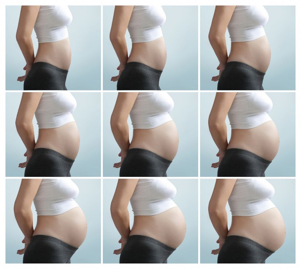 Crecimiento de la barriga durante el embarazo