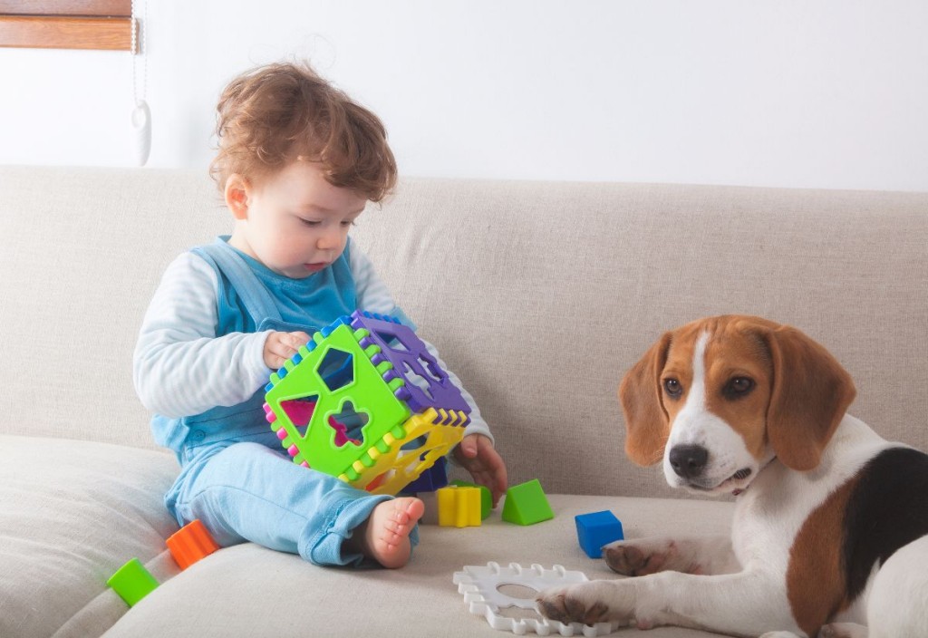 casa segura para bebés