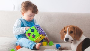 casa segura para bebés