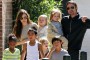 familia Jolie