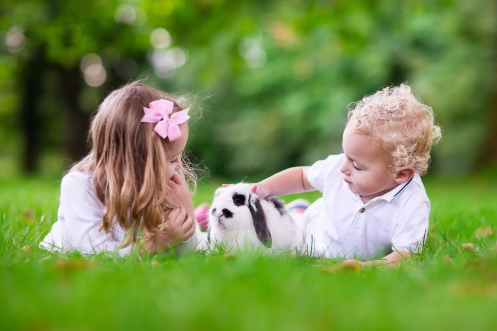 niños en el pasto