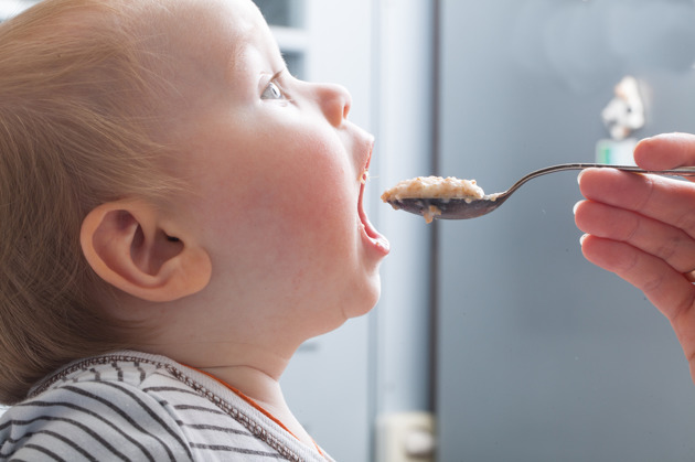 alimentos cocidos al vapor para el bebé