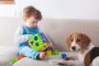 Terapias con perros para niños con discapacidad