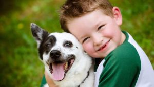 Los perros protegen al niño de contraer asma