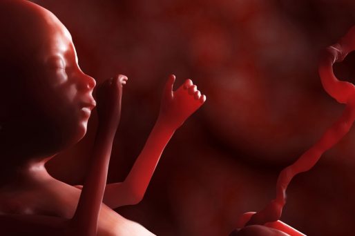 ecografías prenatales
