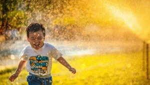 alimentos con más Omega 3