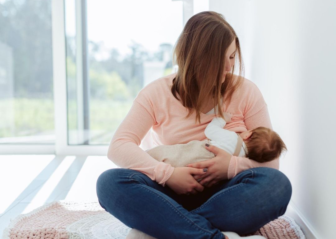 4 Fases de la Lactancia Materna
