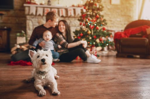 Celebrando la víspera de Año Nuevo con niños