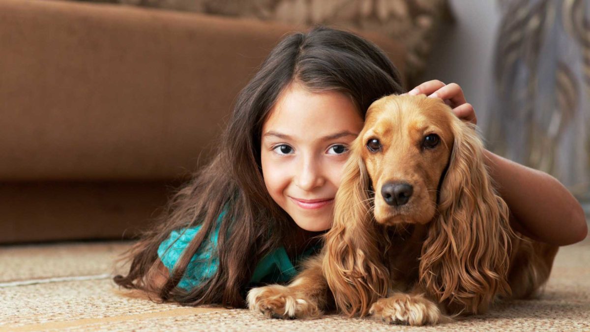 Cómo enseñar al niño la responsabilidad de tener una mascota