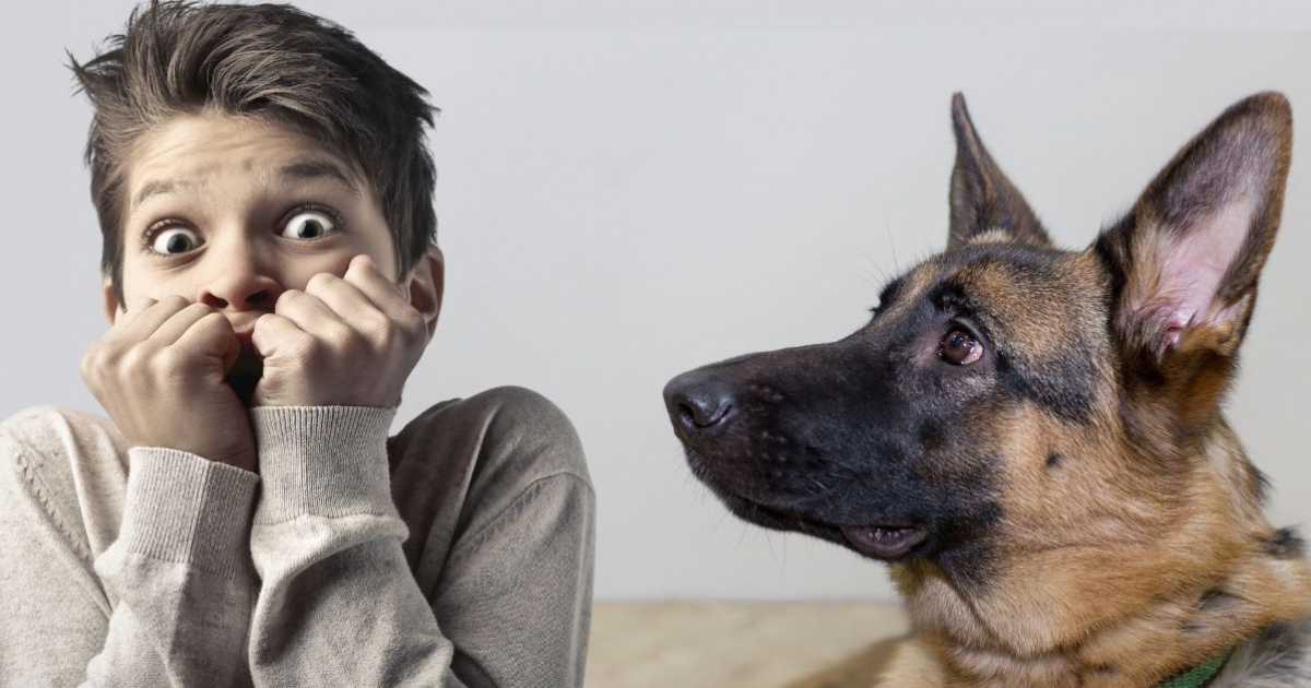 miedo a los animales
