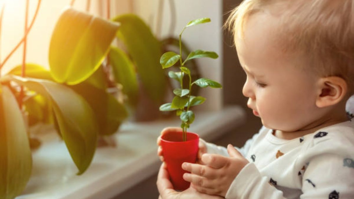 Es tu hija o tu hijo un niño orquídea