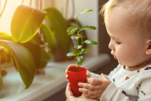 Es tu hija o tu hijo un niño orquídea